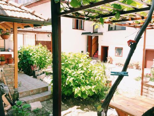 Hostal Guest House Nizama's Place