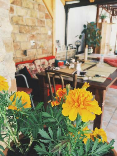 Hostal Guest House Nizama's Place
