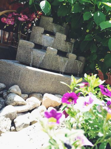 Hostal Guest House Nizama's Place