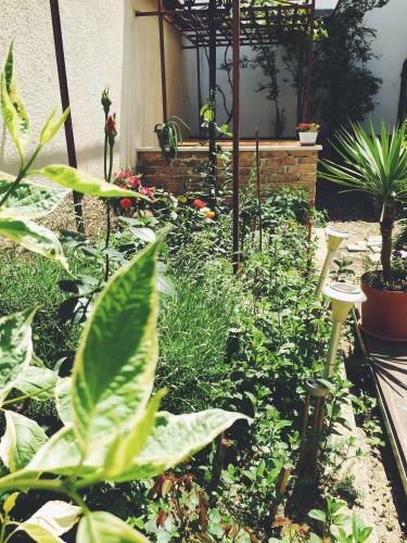 Hostal Guest House Nizama's Place