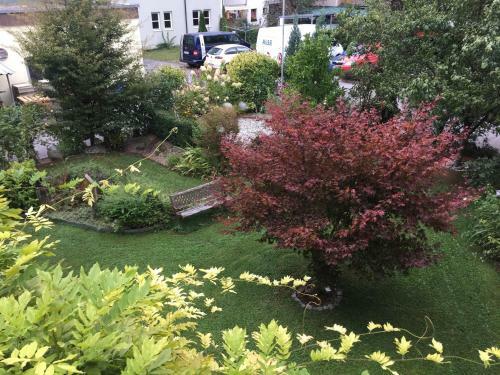 Innsbruck Apartment Nigler