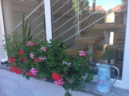 Ferienhaus Br�cke