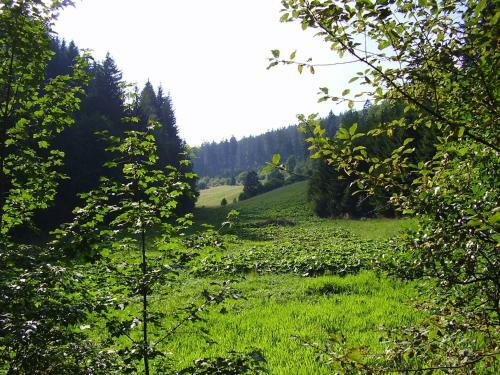 Hostal Haus Kesper-br�nen