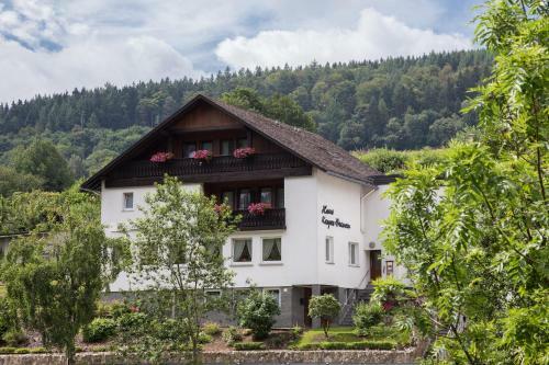 Hostal Haus Kesper-br�nen