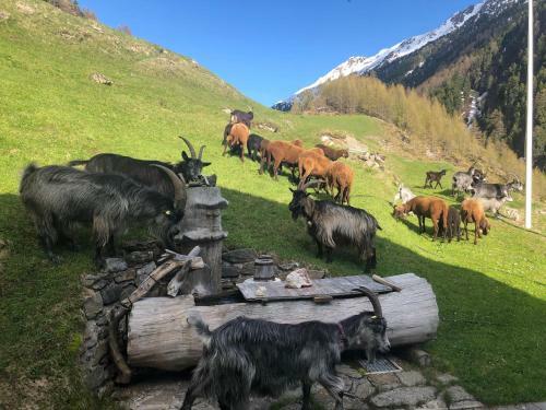 Apartamento Granbichlhof
