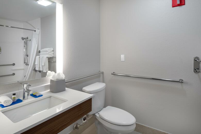 Holiday Inn Express Hotel & Suites Arlington (i-20-parks Mall)