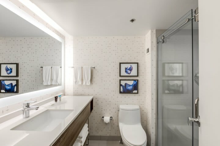 Hotel Crowne Plaza Suites Arlington