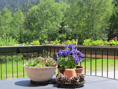 Apartamento Haus Holunder Weissbriach