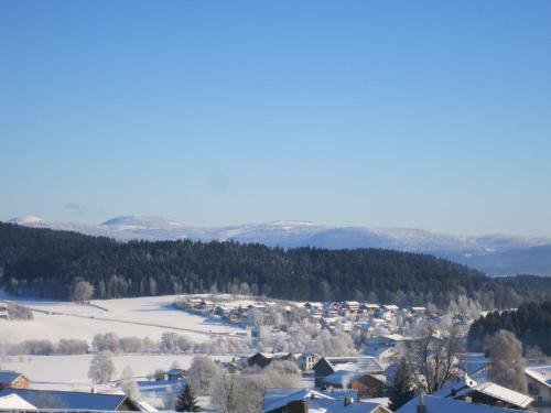 Hotel Hirschenstein