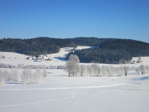 Hotel Hirschenstein