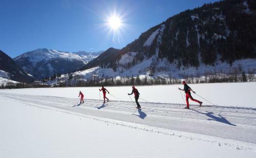 Apartamento Appartementhaus Alpenpark