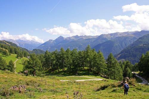 Hostal Gasthof Pension Rose