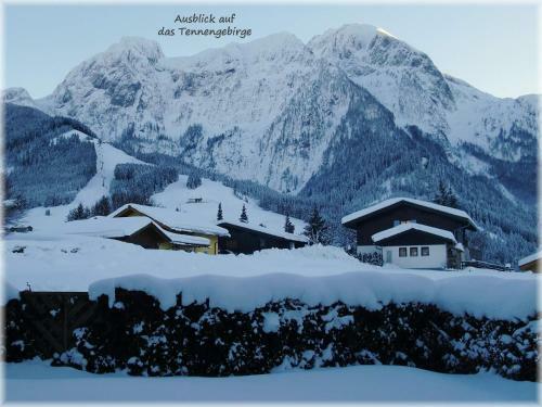 Apartment Dreier - Salzburger Land