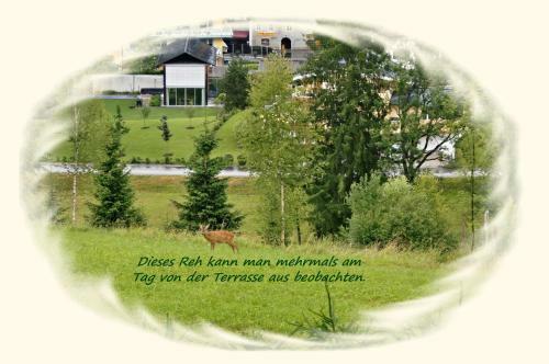 Apartment Dreier - Salzburger Land