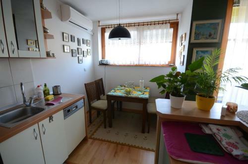 Sarajevo Apartment Visnjik