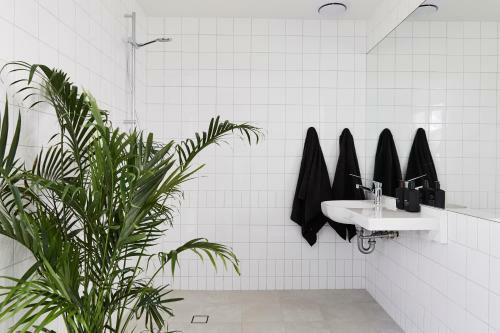 Motel Flamingo Byron Bay