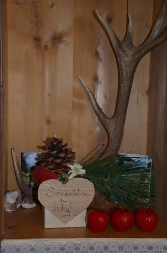 Apartamento Alpinea Appartements