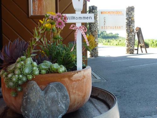 Posada Wohlmuth-l�ckl