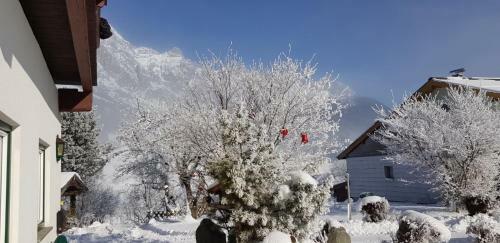 Bed & Breakfast Pfindlhof