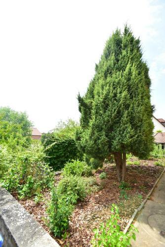 Apartamento Ferienwohnung Hannweber