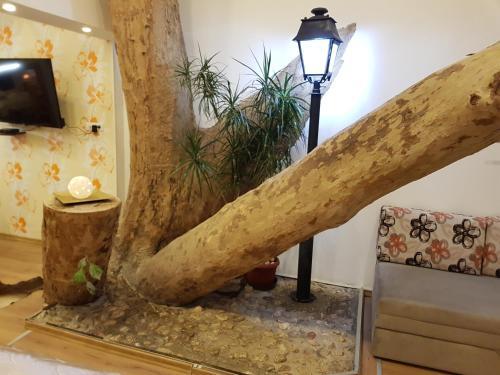 Hostal Pansion River