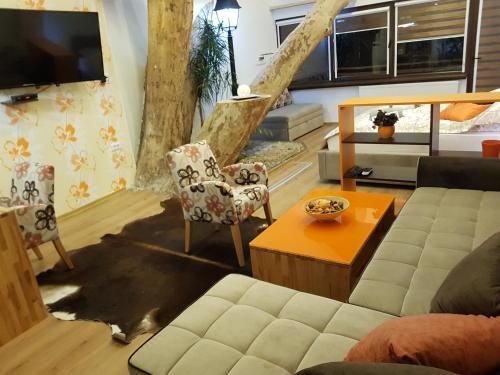 Hostal Pansion River