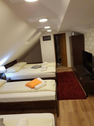 Hostal Pansion River