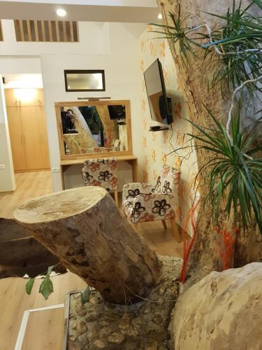 Hostal Pansion River