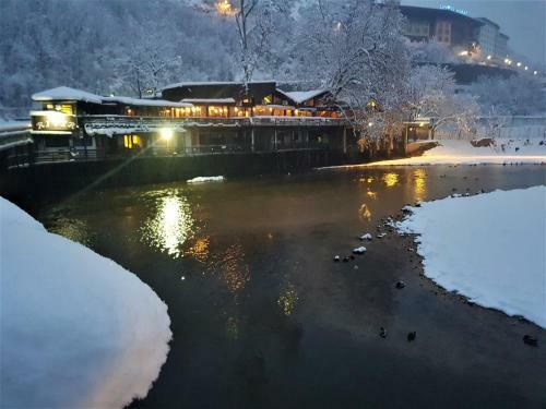Hostal Pansion River