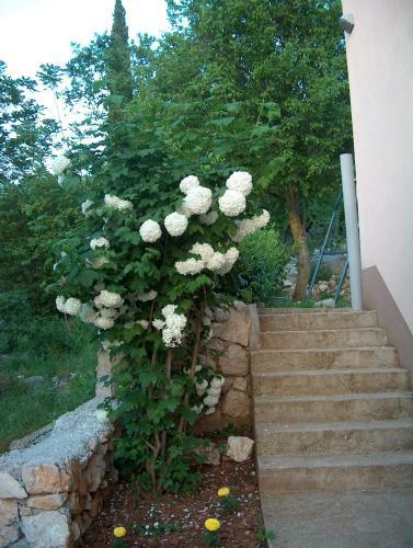 Hostal Villa Petra