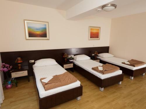 Hotel Orka