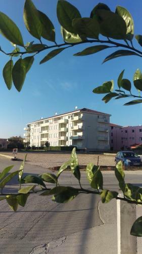 Apartment St.toma