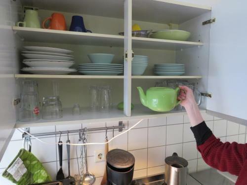 Hostel Lollis Homestay Dresden