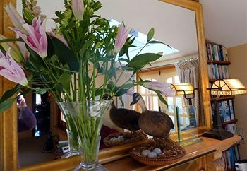 Bed & Breakfast The Duck House