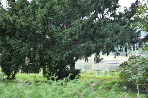 Apartamento Ferienwohnung An Der Elbe