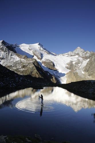 Aparthaus Camping Stubai