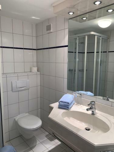 Hotel-restaurant Schwanen