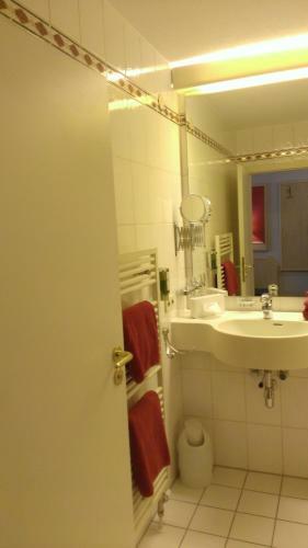 Hotel-restaurant Schwanen