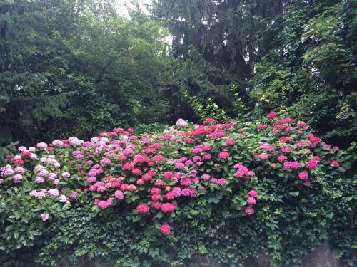 Apartamento Exquisites Gartenapartment In Eleganter Jugendstilvilla