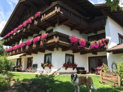 Apartamento Ferienhaus Larinmos