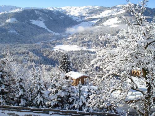 Agroturismo Scherntreinerhof