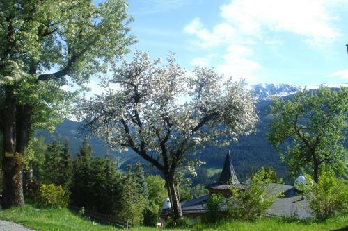 Agroturismo Scherntreinerhof