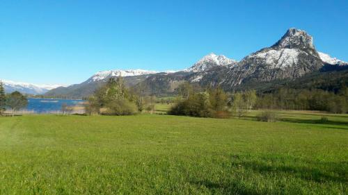 Apartamento K3 - Appartements