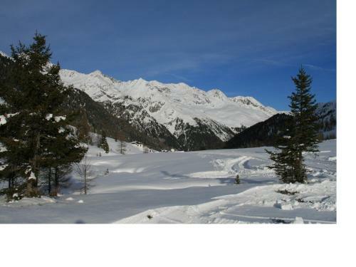 Apartamento Ferienwohnung Schieslis