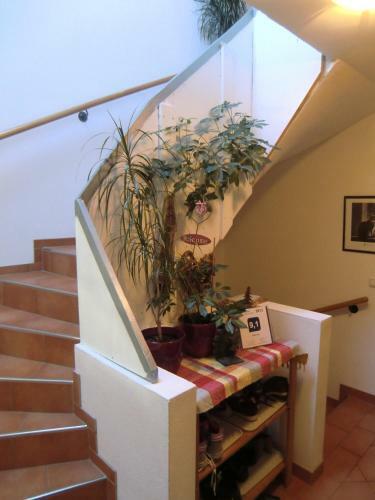 Bed & Breakfast Haus Rye