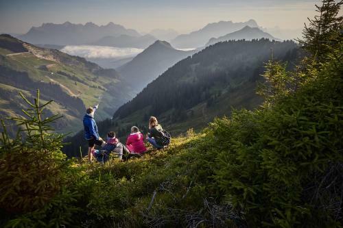 Wander- & Relaxhotel Gollinger Hof
