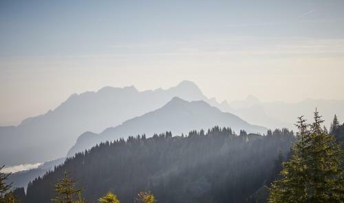 Wander- & Relaxhotel Gollinger Hof