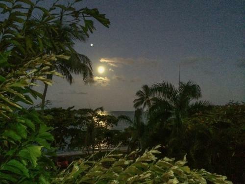 Aparthotel Roydon Beachfront Apartments