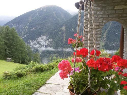 Apartamento Ferienhaus Stoffer