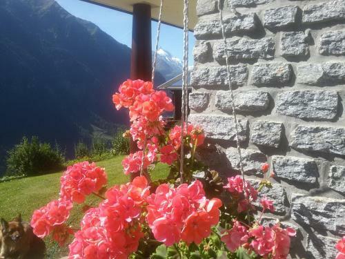 Apartamento Ferienhaus Stoffer